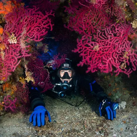 Ciudad De Vacaciones Cala Montjoi * 로지즈